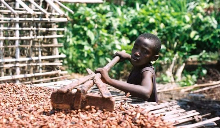 La Côte d’Ivoire célèbre ce mercredi la journée mondiale de la lutte contre le travail des enfants