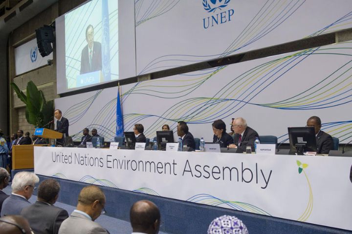 La 1ère Assemblée de l’ONU sur l’environnement aboutit à 16 resolutions