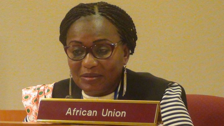 61è Session de la Commission de la Condition de la femme:  La CNDHCI préoccupée par l’accès de la femme au foncier rural