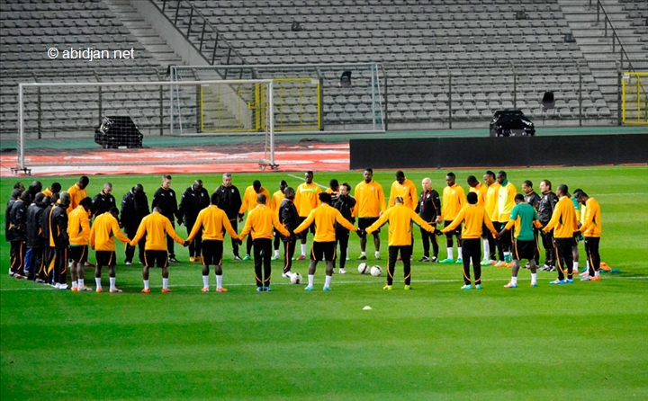 Participation de la Côte d’ivoire à la coupe du monde 2014 : ce que l’Etat va payer aux Eléphants et aux arbitres ivoiriens