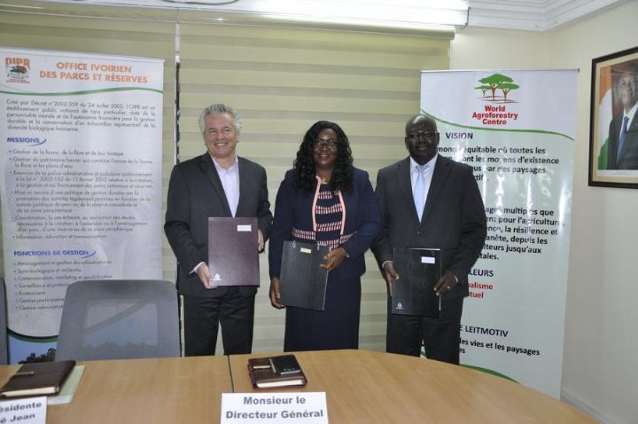 Promotion des systèmes d’agroforesterie : Signatures de protocoles d’Accord de partenariat entre ICRAF, OIPR et l’Université de Daloa