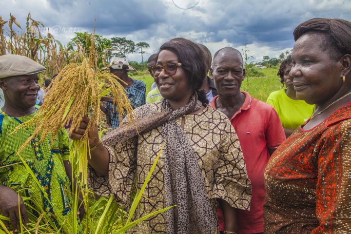 Gagnoa/Autosuffisance en riz Aimée Zebeyoux aux côtés des riziculteurs