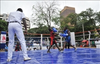 Boxe /  Après trois soirées pugilistiques  au Palais des Sports :	le noble art  retrouve  son public