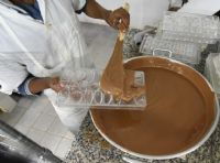 Réussite : la Côte d’Ivoire face au défi de la transformation du cacao