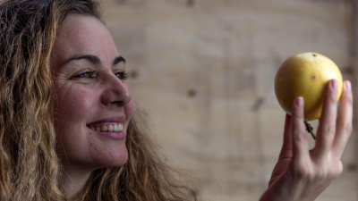 5 fruits étonnamment riches en protéines