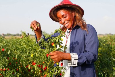 63è anniversaire de l’indépendance : Le Président Alassane Ouattara rassure quant à la redistribution des fruits de la croissance économique