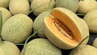 Le melon, un fruit aux bienfaits nutritionnels fascinants