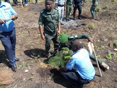 Reboisement : bientôt de nouvelles forêts classées à Dabou