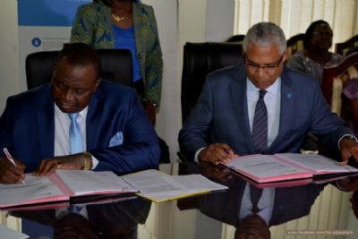 La FAO débloque 270 millions FCFA pour lutter contre la peste porcine dans le Poro et le Tchologo