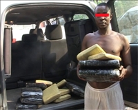 Lutte contre la drogue en Côte d’Ivoire: 1466 interpellations en 2014