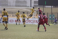 Football / Ligue 1 : 8è journée Asec-Stella, Africa-Gagnoa : Deux grands chocs !