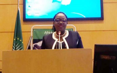 Renforcement de la collaboration Sud-sud dans les TIC: l’Appel d’Abidjan expliqué aux 54 Etats membres de l’Union Africaine