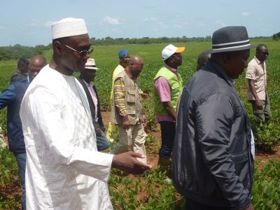 Relance du Projet Soja dans le Bafing et le Kabadougou