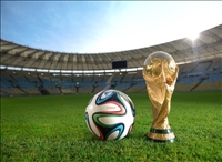 Mondial 2014: « Un Lion demeure lion »; découvrez les slogans des 5 équipes africaines au Brésil