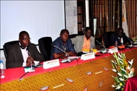 Le conseil du café-cacao mène la lutte contre la maladie du swollen shoot du cacao