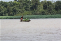 Côte d’Ivoire : la FAO octroie 178 millions de F Cfa pour l’accroissement de la production halieutique