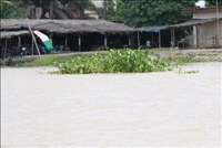 Pose de la première pierre de Moossou Ouest : Le Roi Kanga Assoumou veut promouvoir un village ultra-moderne