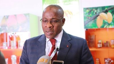 SIAM 2019 : La Chambre d’agriculture de Côte d’Ivoire veut allier la production et la transformation