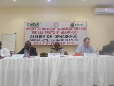 Korhogo: lancement du projet de recherche collaboratif CNRA-CIRAD sur les fruits et maraichers