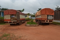 Lutte contre la fraude: Importante saisie de cacao par la gendarmerie nationale