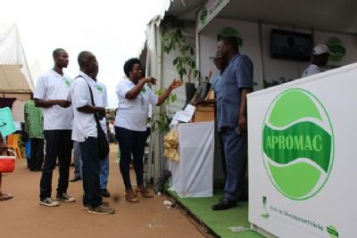 Hévéaculture : l’APROMAC annonce l’implantation de nouvelles usines en 2021