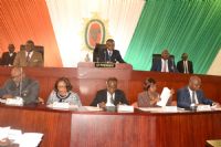 Séance plénière extraordinaire / projet de loi sur la nouvelle constitution: déclaration  du CES