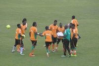 CAN : les favoris ivoiriens entrent en piste, l`Algérie défie la Tunisie