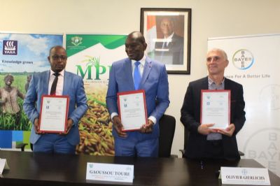 Signature d’un accord pour fournir des engrais spécialisés aux riziculteurs ivoiriens
