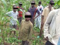 Monde rural: exploitation des enfants dans les plantations: réalité ou illusion ?