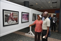 La crise post-électorale ivoirienne en exposition photos à Abidjan