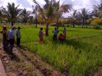 Agence nationale d’appui au développement rural: s’adapter à la rareté des ressources