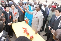 Tribune : L`Afrique profite-t-elle tant des investissements chinois ?