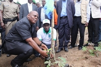 Grande opération de planting à Anguededou pour marquer la journée de l’arbre.