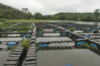 Une école de pisciculture organise une visite guidée de ses étangs