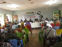 Korhogo: Des ateliers bilan éclatés des sociétés coopératives de coton dans les régions du poro  tchologo et bagoué et du gbêkê