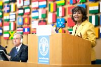 Une nouvelle plateforme en ligne de l’ONU aide à réduire les pertes alimentaires