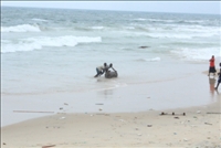 Côte d’Ivoire : 4 morts par noyade à Abidjan