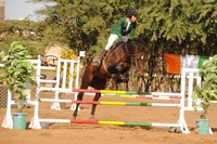 Sports équestres : Les ivoiriens font l’expérience de la haute compétition