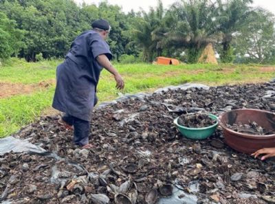 Région de la Nawa : mise en place d’un projet de valorisation de la cabosse de cacao