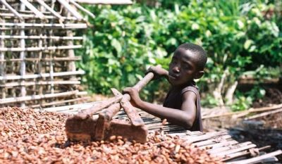 La Côte d’Ivoire célèbre ce mercredi la journée mondiale de la lutte contre le travail des enfants