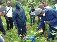 32 acteurs de la production du coton pour vulgariser la bonne utilisation des pesticides dans le nord