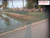 Côte d`Ivoire : les crocodiles font un mort parmi les habitants de Yamoussoukro