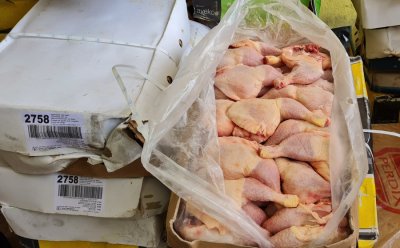 Fraude: 3.678 cartons de poulets congelés saisis