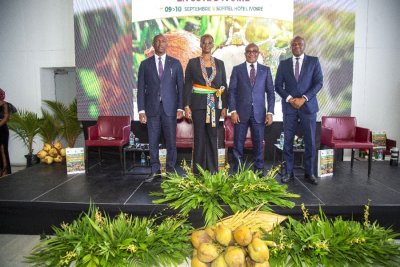 Agriculture/Développement durable : La Côte d’Ivoire veut reprendre sa place de leader africain dans la filière Coco