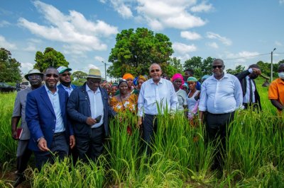 Agriculture : le Premier Ministre Patrick Achi réaffirme le soutien du gouvernement aux acteurs du secteur