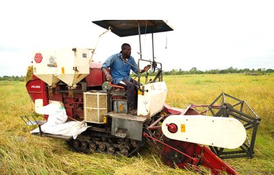 Agriculture : les avantages du Projet de Pôle agro-industriel ou agropole présentés