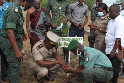Agroforesterie : Une opération de planting d’arbres initiée à Assinie Mafia pour la reconstitution du couvert forestier