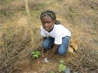 Korhogo/ La  colonie d’état de  vacances  2014 composée de 160 enfants  reboise à Kakologo
