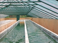 Côte d’Ivoire/La culture de la spiruline, un projet qui peut rapporter jusqu’à 30 millions de FCFA à la tonne