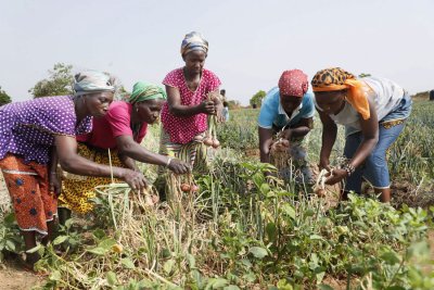 Autonomisation des jeunes et sécurité alimentaire : Le Programme Social du Gouvernement (PSGOUV2) obtient des résultats satisfaisants